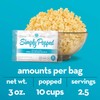 Jolly Time Simply Popped - Lightly Salted Microwave Popcorn, 3oz