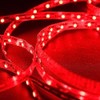 Mextronic LED Strip LED Strip 3528 Red 625-630nm 24W 500cm