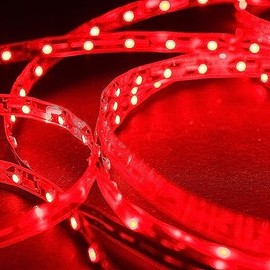 Mextronic LED Strip LED Strip 3528 Red 625-630nm 24W 500cm 24V IP20