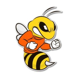 AK Wall Art Angry Bee Car Laptop Phone Vinyl Sticker  - SELECT SIZE - (A) X-Small: 3"