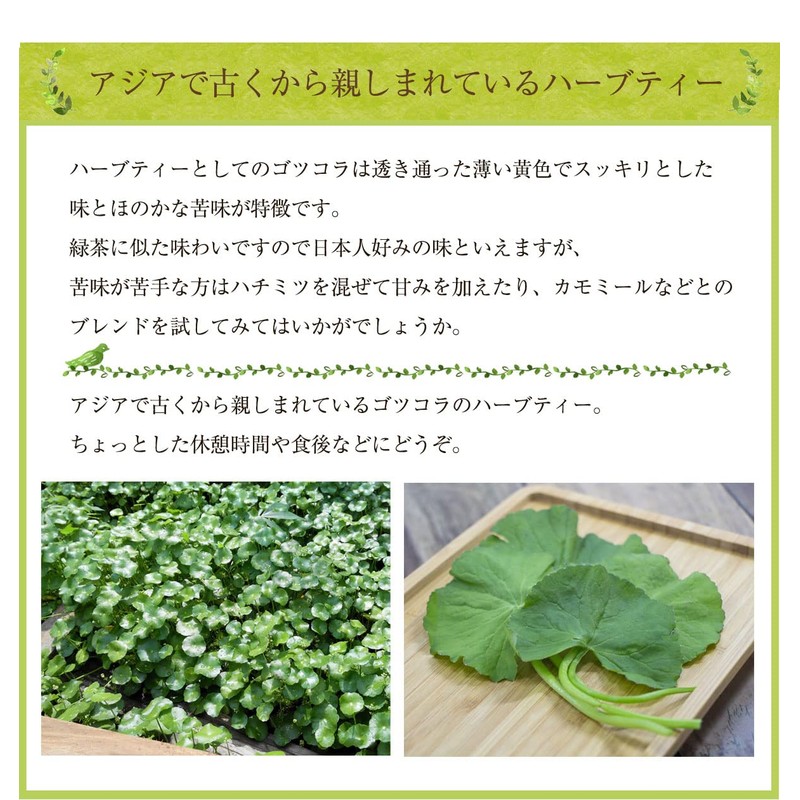Gotu Cola Gotu Kola Tea Gotu Kola Tea Gotu Kola