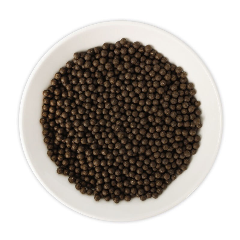 Chamgoods Boswellia Pill Complex Extract Boswellic Acid 500gx4 pack /