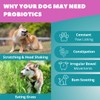 Funky Dawg Premium dog probiotic supplement chews, gut health &
