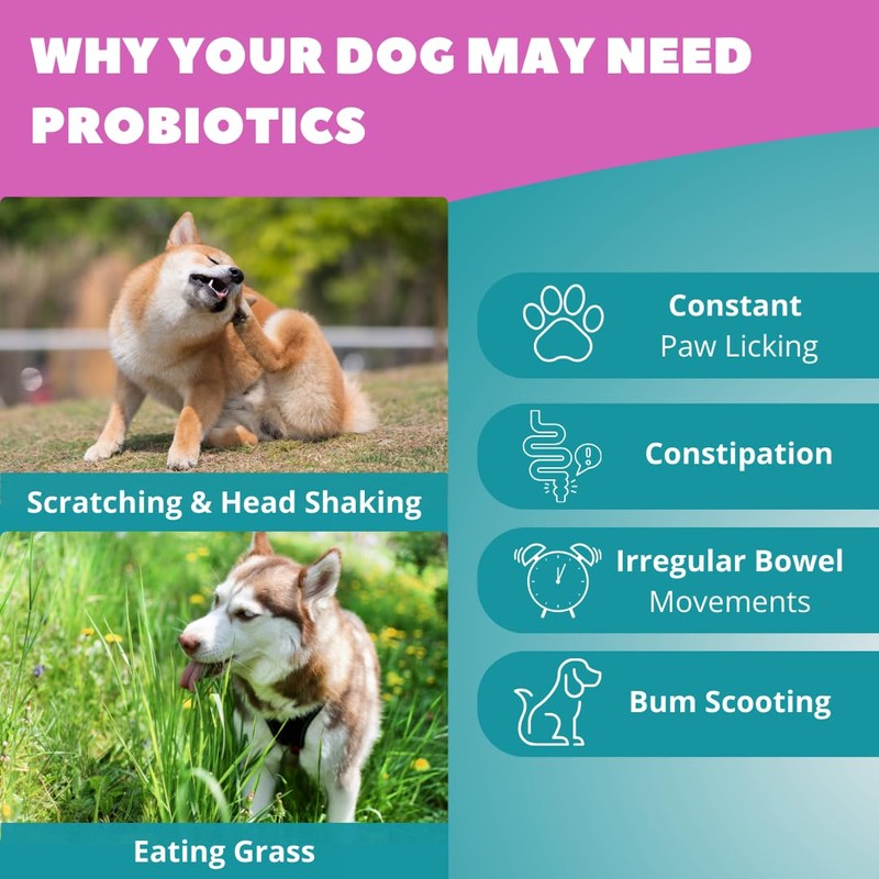 Funky Dawg Premium dog probiotic supplement chews, gut health &