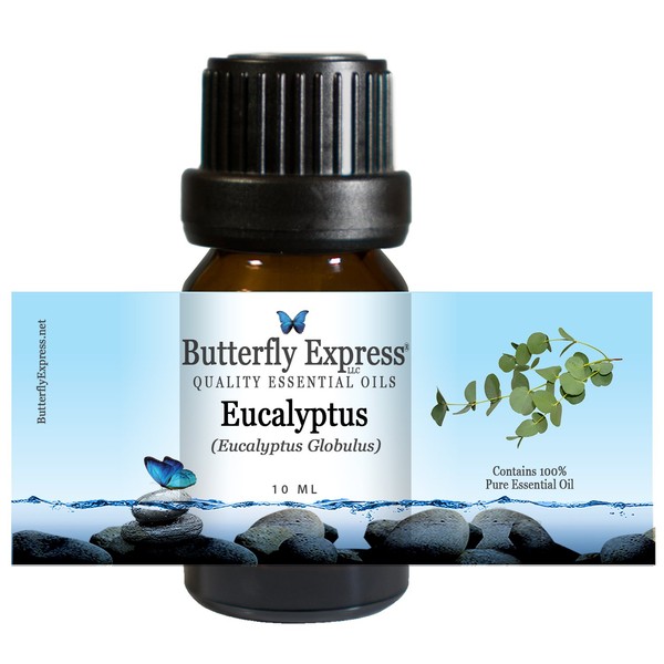 Eucalyptus (Eucalyptus Globulus) Essential Oil 10ml - 100% Pure - by Butterfly Express