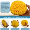 2 Pieces Knockdown Texture Sponge with 2 Pieces Scrapers for