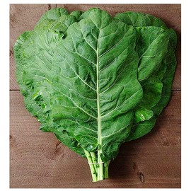 Champion Collard Seeds - Blue-Green Cabbage-Like Delicious Leaves