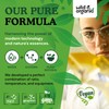 Wild & Organic Green Tea Extract Liquid Drops - Antioxidant