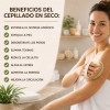 Cepillos Manual Corporal Chico Exfoliante Doble Cara Mango Removible 42cm