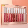 Paquete De 10 Brillos Labiales Impermeables Cakaila