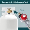 GASPRO High Pressure Propane Regulator with 12FT Braided Hose, 30-PSI