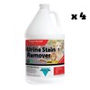 Bridgepoint Systems Pet Stain Odor Neutralizer Urine Stain Remover -