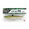 EVERGREEN Worm Last Ace 168#55 Oikawa