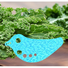 RONDURE Herb Stripper - Efficient Leaf Remover for Kale, Chard, Collard Greens | Multi-functional Herb Leaf Stripper | LooseLeaf Kitchen Gadget for Leafy Greens and Herbs