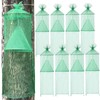 Qualirey 8 Pack Spotted Lanternfly Traps Lantern Fly Killer Mesh