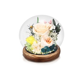Liuzouwin Preserved Rose Glass Dome with LED Light, Decorative Floral Display with Wooden Base (Champagne Rose)