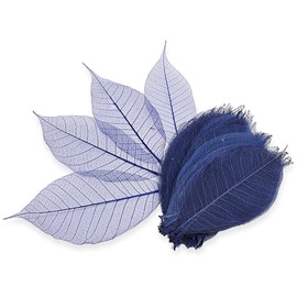 ChangThai Design Skeleton Leaves 3½" Long Blue Dyed 100 Pieces Nature Dried Rubber Tree Leaf for Scrapbooks Photo Albums Crafts Wedding Cards Decoration Colorful Decorative Arrangements Décor Gifts