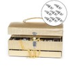 Tool Box Buckle, 8 PCS Stainless Steel Spring Toggle Locks