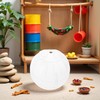 White Silent Exercise Ball Plastic Spinner Hamster Running for Sugar