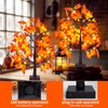 PEIDUO 2 Pack Maple Tree Fall Decor, Lighted Fall Tree