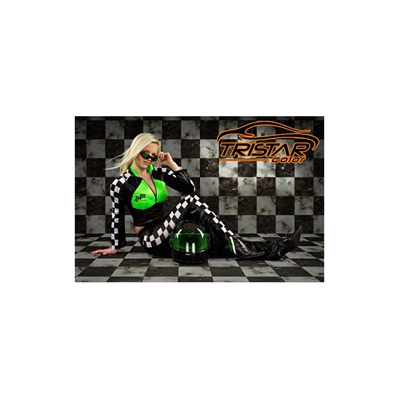 TRISTARcolor Autolack Dose spritzfertig für Gen. Motors/Hummer/Oldsmobile/Pontiac/Saturn 20-111A Light Montana