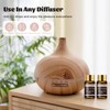 MAYJAM Fragrance Oil Gift Set, Top 20 Essential Oils Variety