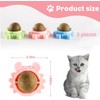 MBVBN 3 Piezas Catnip Ball，un Juguete para Gatos Interactivo de