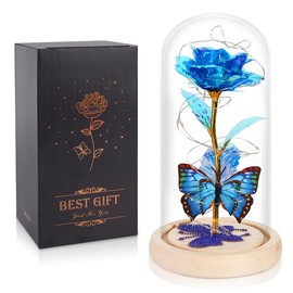 DEEMEI Valentine's Day Gifts Idea for Women Eternal Flower Light Up Rose in Glass Dome with Butterfly, Mohters Birthday Anniversary for Mom Girlfriend - Color: Blue