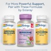SOLARAY Berberine 500mg - Berberine Supplement for a Healthy, Active