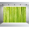 Loccor 9x6ft Fabric Bamboo Forest Backdrop Spring Lush Green Forest