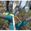 Adjustable Plastic Support Tree Straps, Garden Plants Windproof Anti-toppling Support
