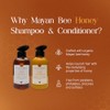 Yucatan Herbal Set de Champú y Acondicionador con Miel de