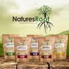 Natures Root Moringa Oleifera Seeds 500 Seeds – Non-GMO Edible