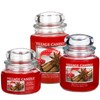 Village Candle Red Hot Cinnamon 16 oz Glass Jar Scented
