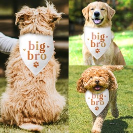 Big Bro Dog Bandana Baby Announcement Dog Bandana White Dog Bandana Pregnancy Announcement Photo Prop Pet Scarf Accessories for Pet Dog Lovers Gifts
