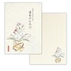 Enuby Company Yuakari B5 Stationery Seika Stationery and Envelopes Set