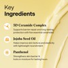 TORRIDEN - Crema renovada solid in con ceramidas 70 ml