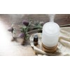  Bird of Paradise Essential Oil - 100% Pure Aromatherapy