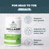 Ancient Nutrition Vegetarian Collagen Peptides, Collagen Peptides Powder, Collagen Powder