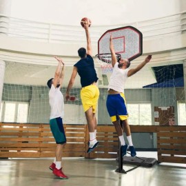 43 Inch Indoor/Outdoor Adjustable Basketball Hoop Height Adjustable Court Equipmentcolor: as show Color