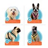 Gooby Comfort X One Dog Harness - Head-in Dog Harness