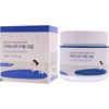 Birch Juice Moisturizing Cream by Round Lab for Women -