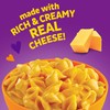 Annie's Deluxe Shells and Aged Cheddar, Pasta and Cheese Sauce,