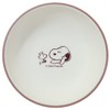 Marimo Craft SNOOPY Wood Grain Round Plate Relaxing Time Φ5.9