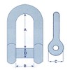 Stainless Steel D Shackle with Allen Screw Head 6MM (Dee