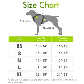 rabbitgoo Dog Harness, No-Pull Pet Harness with 2 Leash Clips, Adjustable Soft Padded Dog Vest, Reflective No-Choke Pet Oxford Vest with Easy Control Handle for Small Dogs, Wild Lime, XS