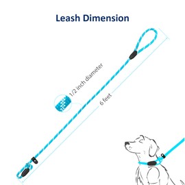 WePet Dog Training Slip Leash, No Pull, Durable Reflective Lead, Puppy Heavy Duty Loop Rope, Comfortable Handle, 6 ft, 1/2 inch, diam. Blue/White