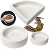 Reptile Food Water Bowl Set Lizard Feeder Ceramics Bowls Worm