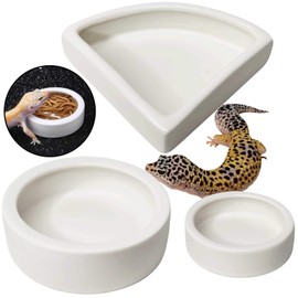 Reptile Food Water Bowl Set Lizard Feeder Ceramics Bowls Worm Live Fodder Container for Bearded Dragon Chameleon Lizard Hermit Crab Gecko Tortoise Spider Pet 3 Pieces