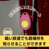 Raymay Fujii Water Resistant Anti - Theft Alarm, safety pink